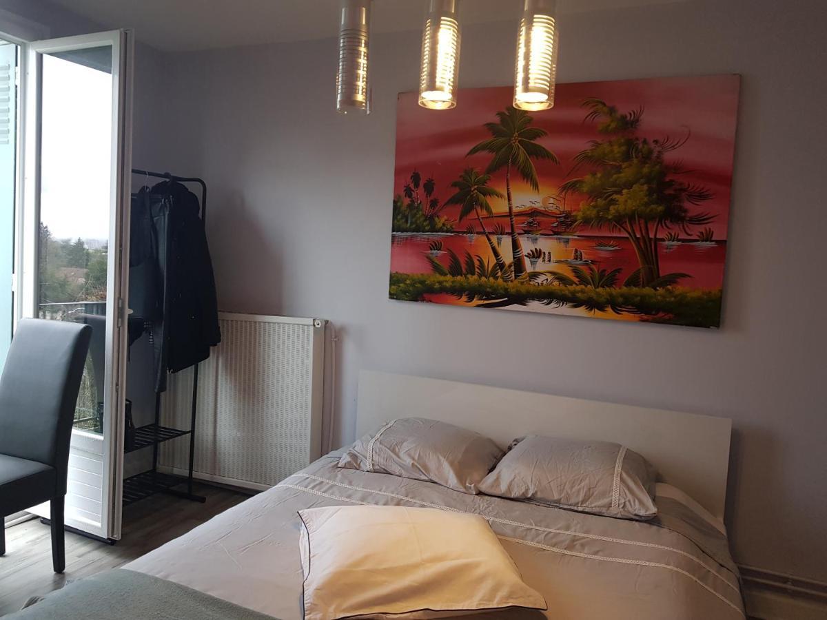 Chambres A Louer Dans Appartement Balcon - Wifi - Parking Gratuit Nevers Buitenkant foto