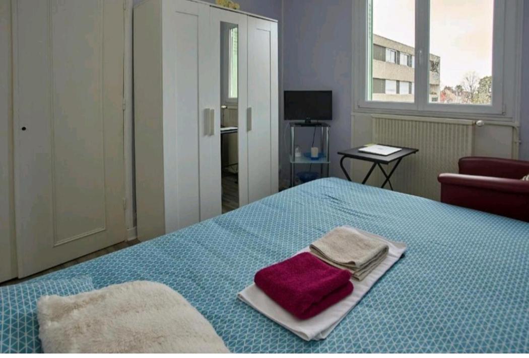 Chambres A Louer Dans Appartement Balcon - Wifi - Parking Gratuit Nevers Buitenkant foto
